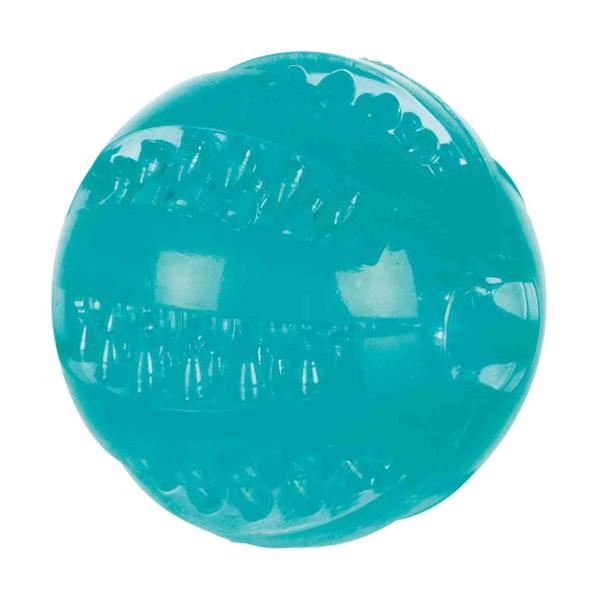 Trixie Denta Fun Ball Hundespielzeug